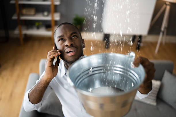 Best Water damage restoration company  in Philadelphia, PA