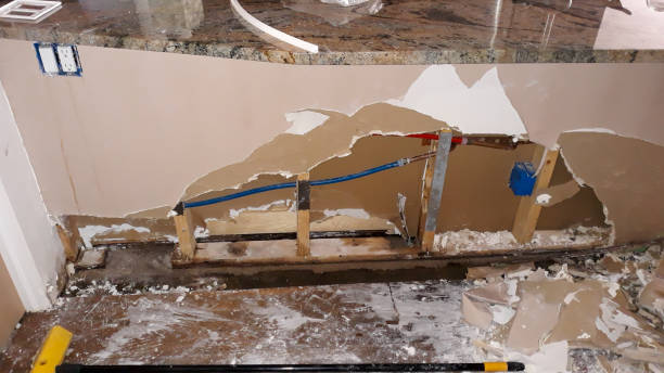 Best Carpet water damage restoration  in Philadelphia, PA
