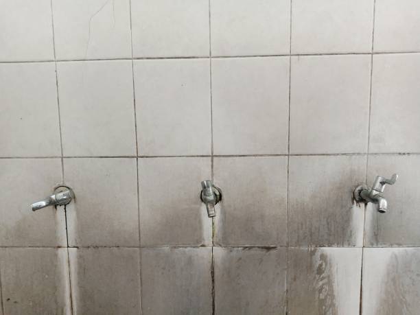 Best 24-hour water damage restoration  in Philadelphia, PA