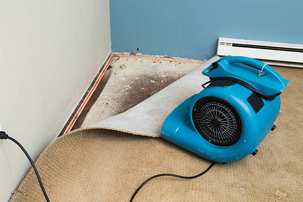 Best Local water damage restoration  in Philadelphia, PA
